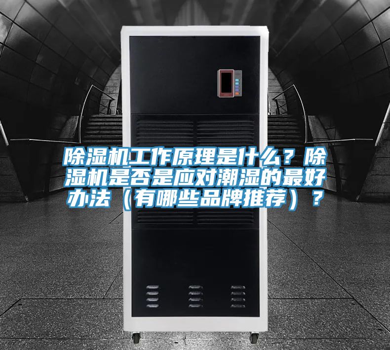 91免费网站在线观看工作原理是什么？91免费网站在线观看是否是应对潮湿的最好办法（有哪些品牌推荐）？