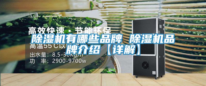 91免费网站在线观看有哪些品牌 91免费网站在线观看品牌介绍【详解】