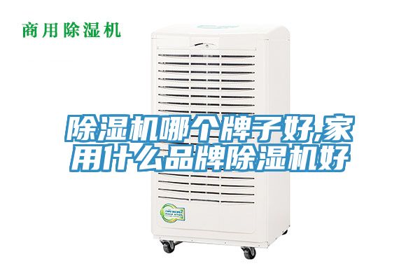 91免费网站在线观看哪个牌子好,家用什么品牌91免费网站在线观看好