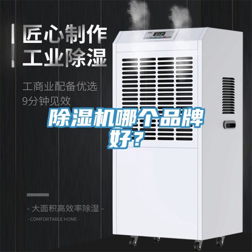 91免费网站在线观看哪个品牌好？