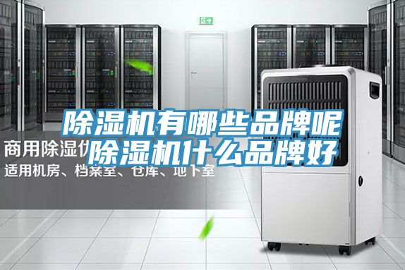 91免费网站在线观看有哪些品牌呢 91免费网站在线观看什么品牌好