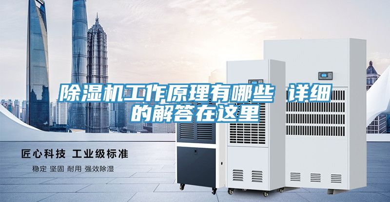 91免费网站在线观看工作原理有哪些 详细的解答在这里