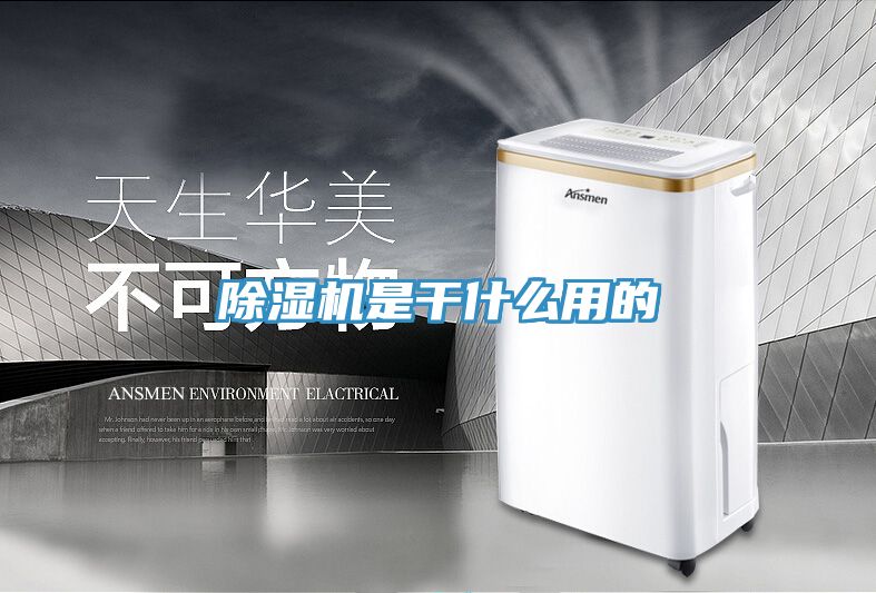 91免费网站在线观看是干什么用的