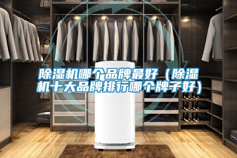 91免费网站在线观看哪个品牌最好（91免费网站在线观看十大品牌排行哪个牌子好）