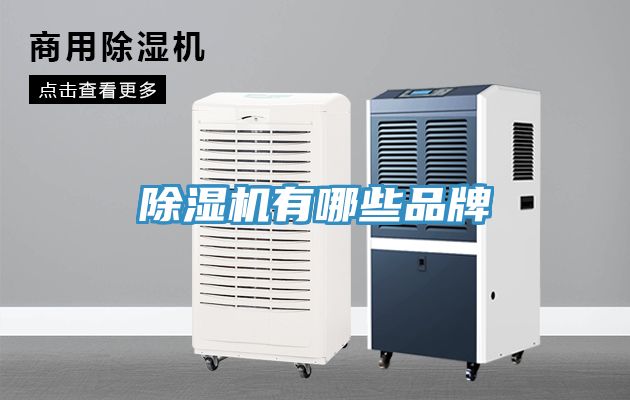 91免费网站在线观看有哪些品牌