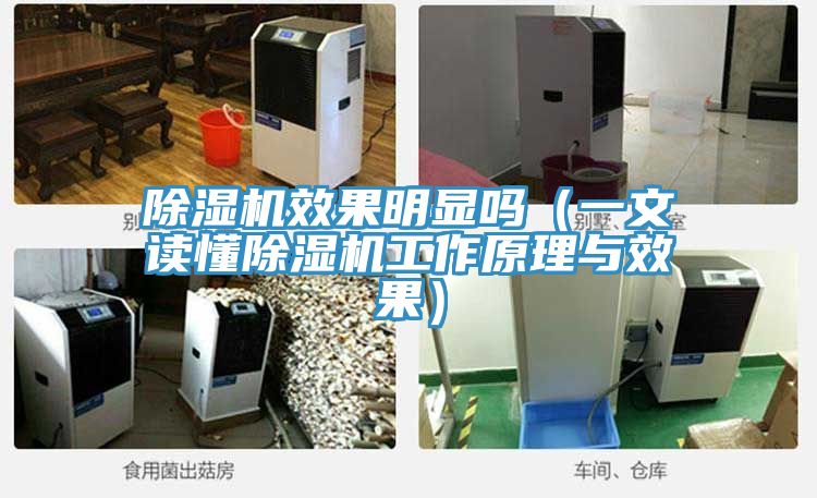 91免费网站在线观看效果明显吗（一文读懂91免费网站在线观看工作原理与效果）