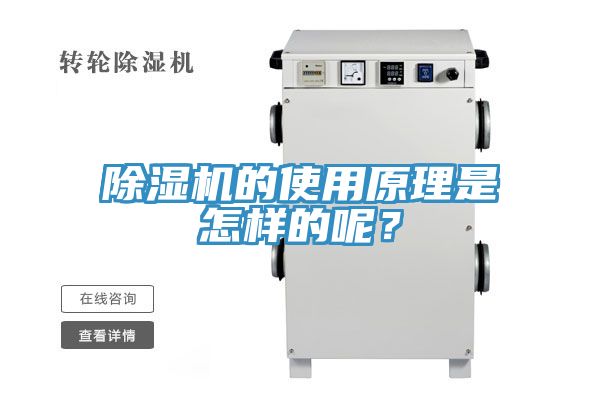 91免费网站在线观看的使用原理是怎样的呢？