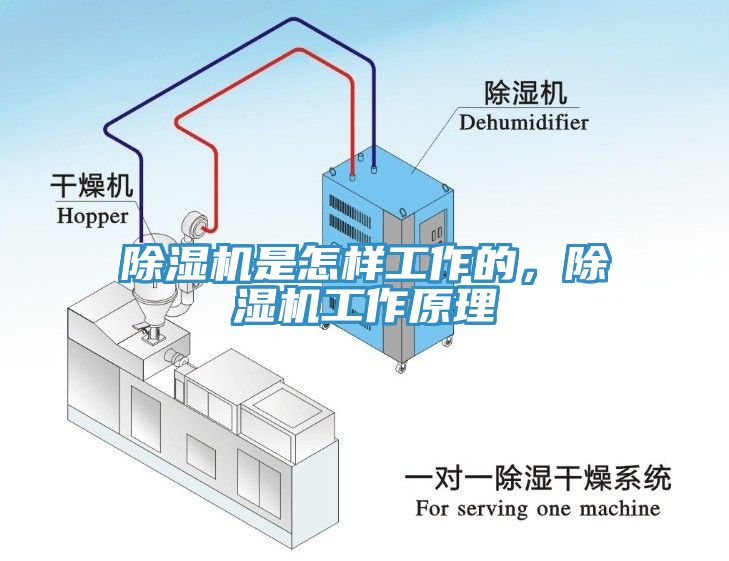 91免费网站在线观看是怎样工作的，91免费网站在线观看工作原理