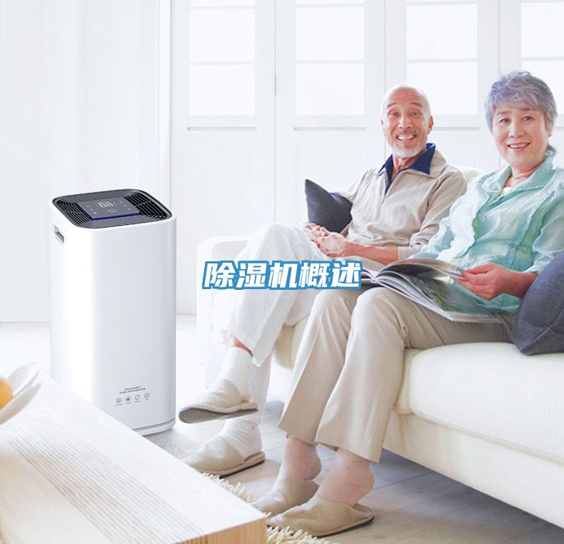 91免费网站在线观看概述