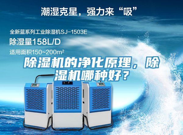 91免费网站在线观看的净化原理，91免费网站在线观看哪种好？