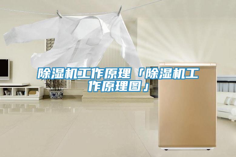 91免费网站在线观看工作原理「91免费网站在线观看工作原理图」