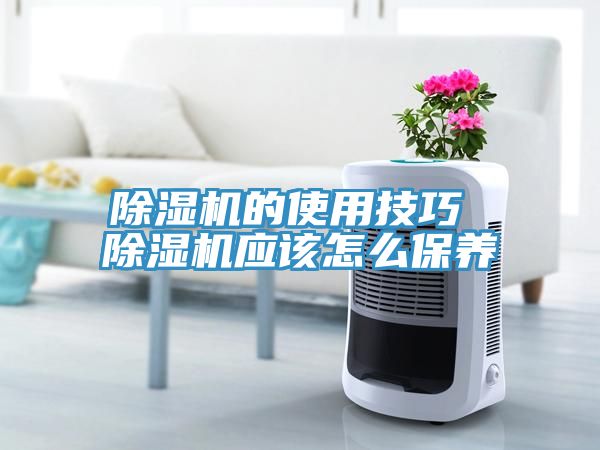91免费网站在线观看的使用技巧 91免费网站在线观看应该怎么保养