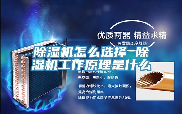 91免费网站在线观看怎么选择 91免费网站在线观看工作原理是什么