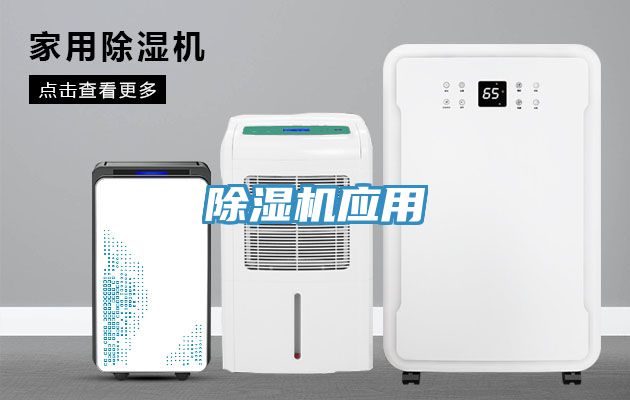 91免费网站在线观看应用