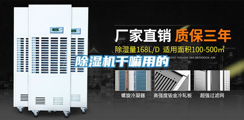 91免费网站在线观看干嘛用的