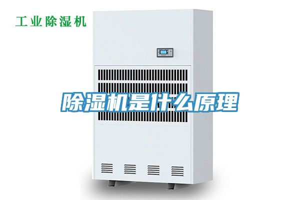 91免费网站在线观看是什么原理