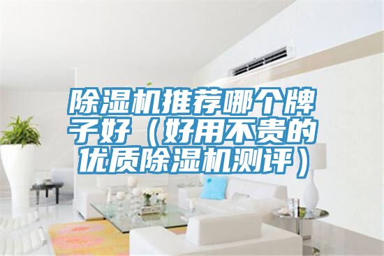 91免费网站在线观看推荐哪个牌子好（好用不贵的优质91免费网站在线观看测评）
