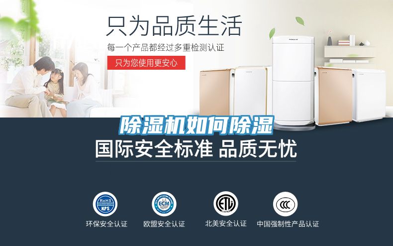 91免费网站在线观看如何除湿