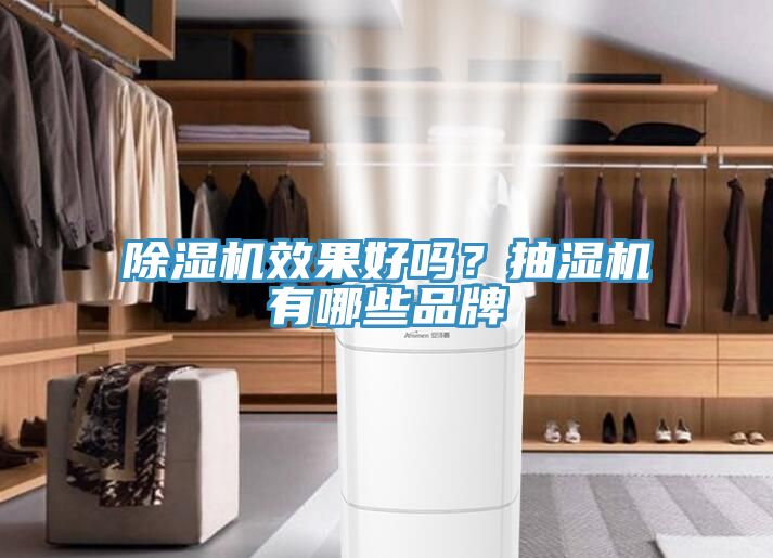 91免费网站在线观看效果好吗？抽湿机有哪些品牌