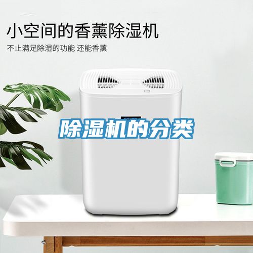 91免费网站在线观看的分类