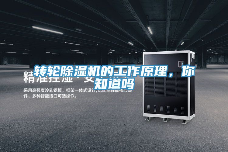 转轮91免费网站在线观看的工作原理，你知道吗