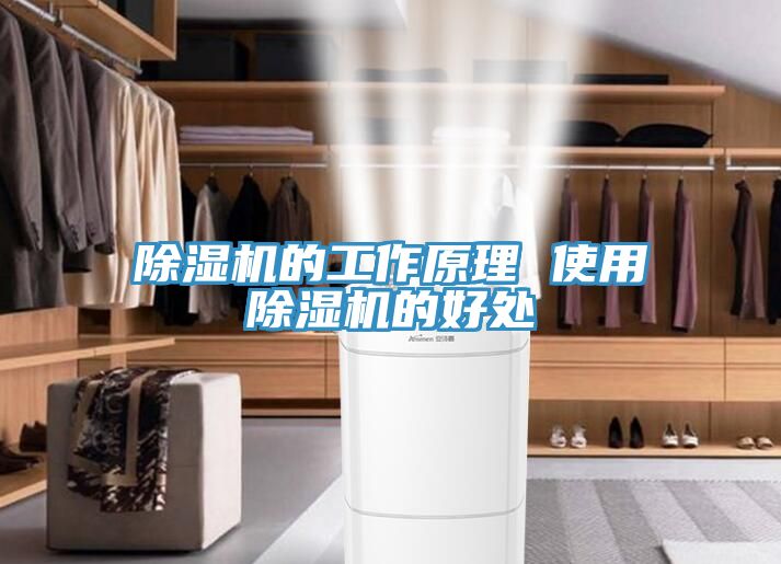 91免费网站在线观看的工作原理 使用91免费网站在线观看的好处