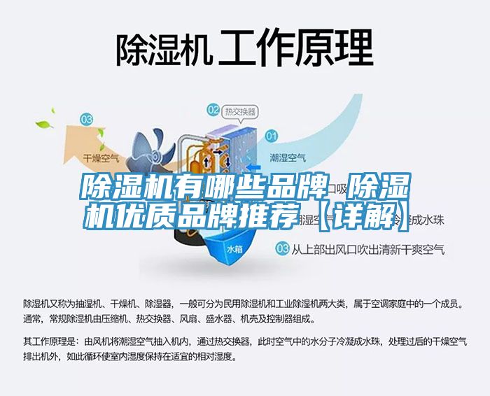 91免费网站在线观看有哪些品牌 91免费网站在线观看优质品牌推荐【详解】
