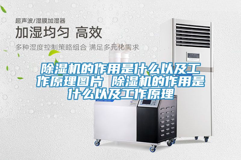 91免费网站在线观看的作用是什么以及工作原理图片 91免费网站在线观看的作用是什么以及工作原理