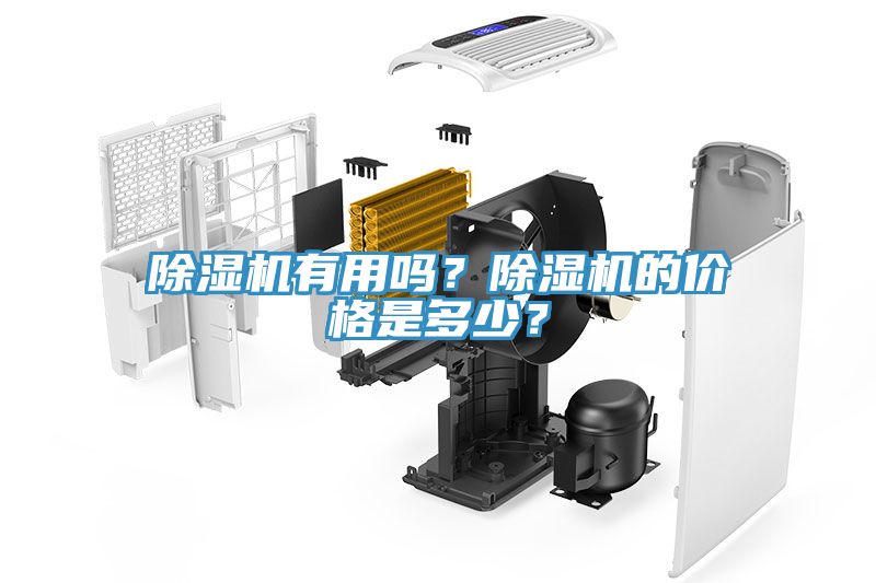 91免费网站在线观看有用吗？91免费网站在线观看的价格是多少？