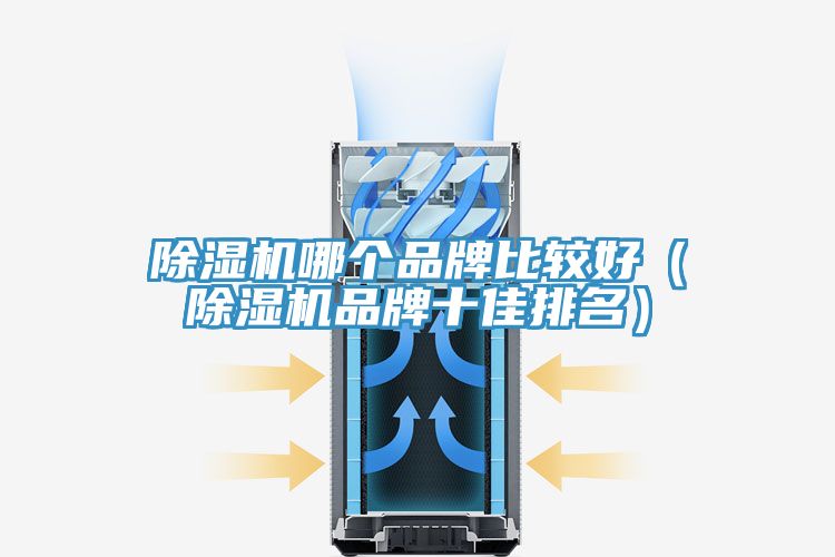 91免费网站在线观看哪个品牌比较好（91免费网站在线观看品牌十佳排名）