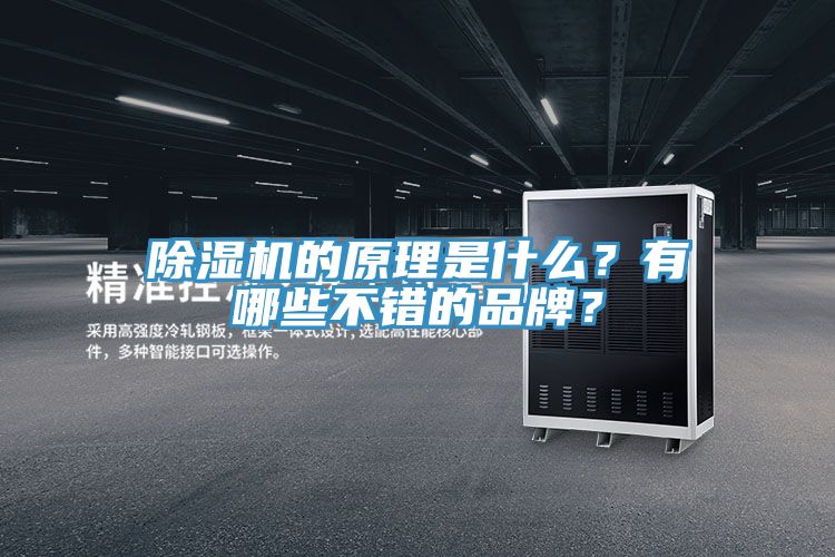 91免费网站在线观看的原理是什么？有哪些不错的品牌？