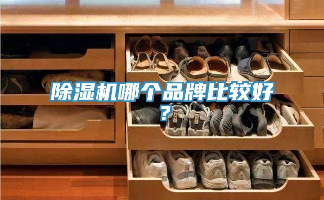 91免费网站在线观看哪个品牌比较好？