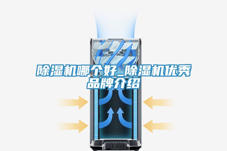 91免费网站在线观看哪个好_91免费网站在线观看优秀品牌介绍