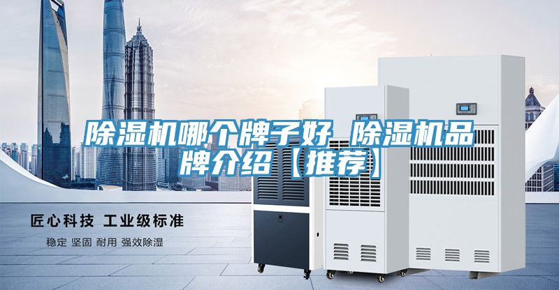 91免费网站在线观看哪个牌子好 91免费网站在线观看品牌介绍【推荐】