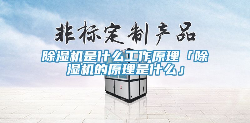 91免费网站在线观看是什么工作原理「91免费网站在线观看的原理是什么」