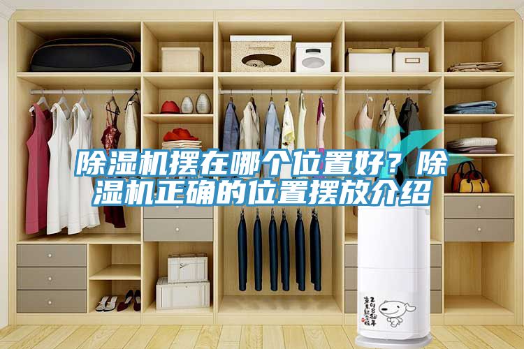 91免费网站在线观看摆在哪个位置好？91免费网站在线观看正确的位置摆放介绍