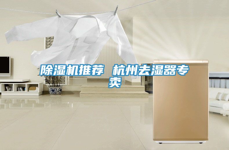 91免费网站在线观看推荐 杭州去湿器专卖