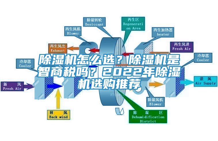91免费网站在线观看怎么选？91免费网站在线观看是智商税吗？2022年91免费网站在线观看选购推荐