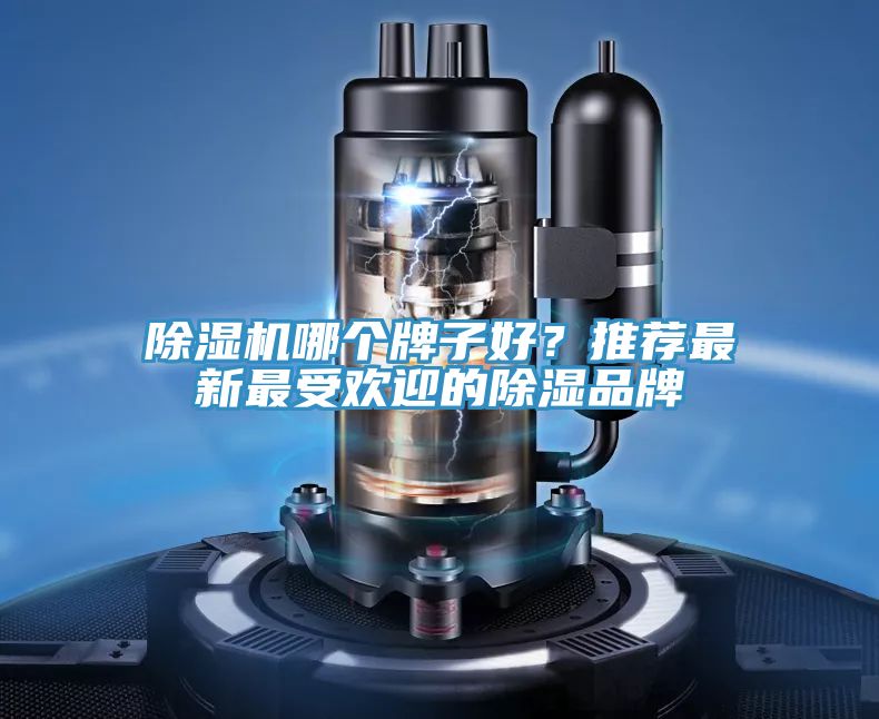 91免费网站在线观看哪个牌子好？推荐最新最受欢迎的除湿品牌