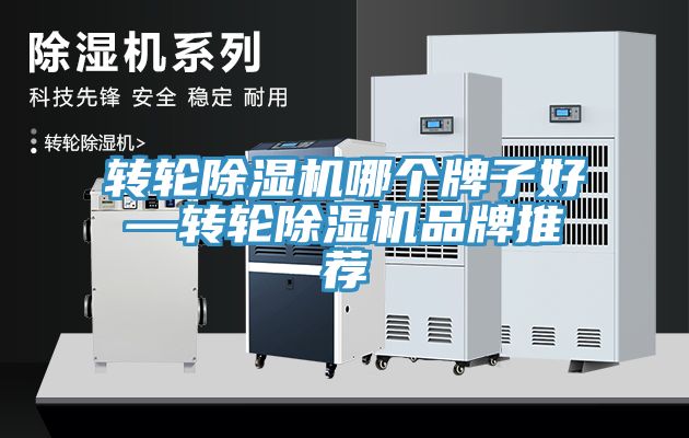转轮91免费网站在线观看哪个牌子好—转轮91免费网站在线观看品牌推荐