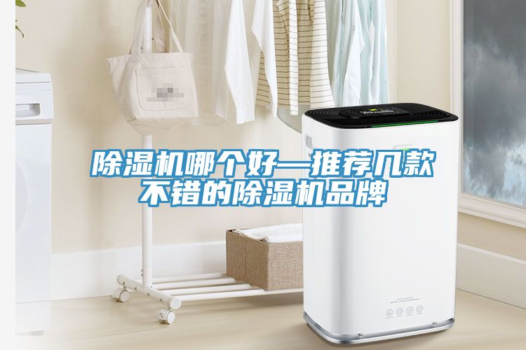 91免费网站在线观看哪个好—推荐几款不错的91免费网站在线观看品牌