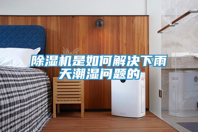 91免费网站在线观看是如何解决下雨天潮湿问题的