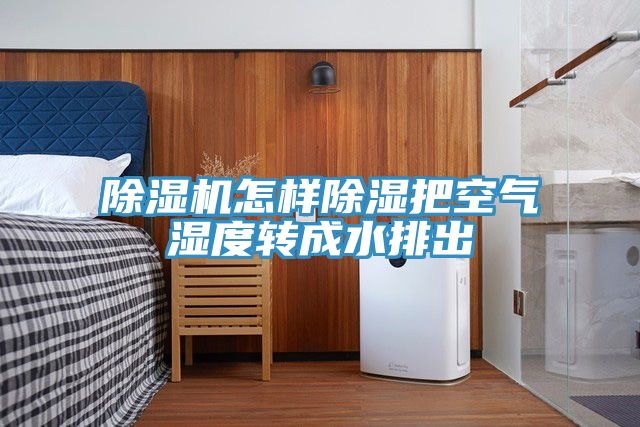 91免费网站在线观看怎样除湿把空气湿度转成水排出