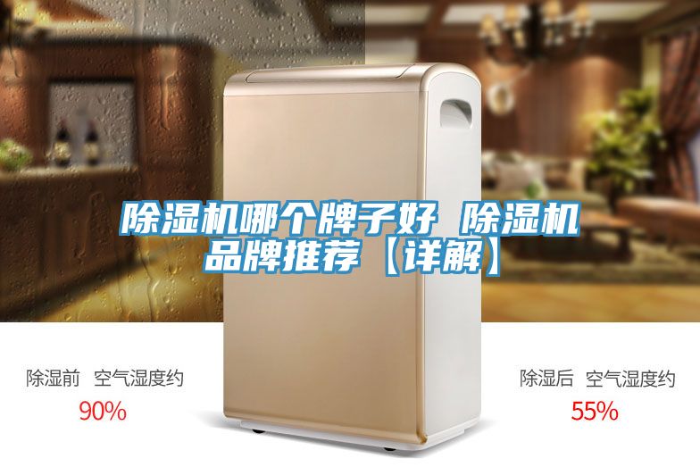 91免费网站在线观看哪个牌子好 91免费网站在线观看品牌推荐【详解】