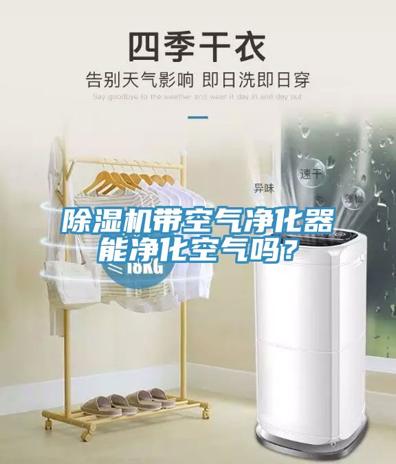 91免费网站在线观看带空气净化器能净化空气吗？