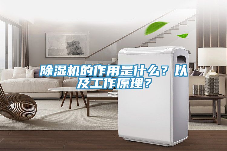 91免费网站在线观看的作用是什么？以及工作原理？
