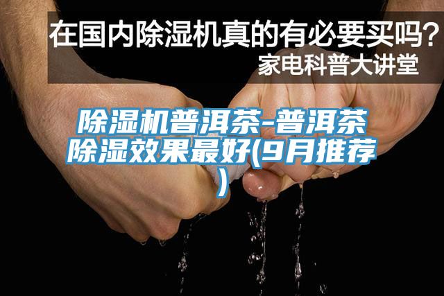 91免费网站在线观看普洱茶-普洱茶除湿效果最好(9月推荐)