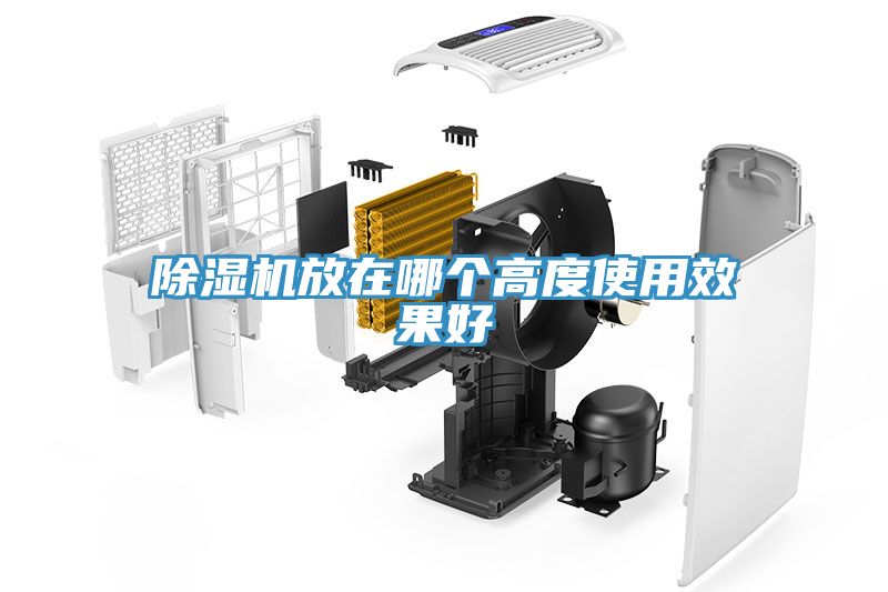 91免费网站在线观看放在哪个高度使用效果好