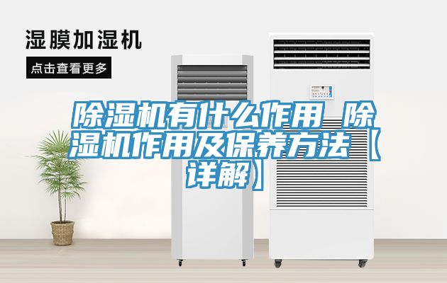 91免费网站在线观看有什么作用 91免费网站在线观看作用及保养方法【详解】