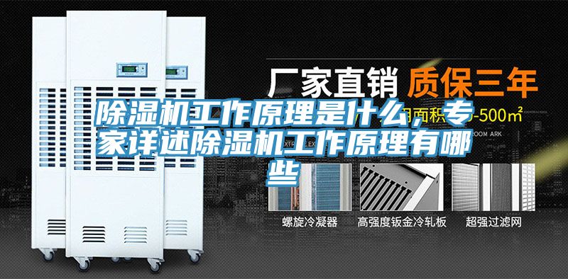 91免费网站在线观看工作原理是什么，专家详述91免费网站在线观看工作原理有哪些